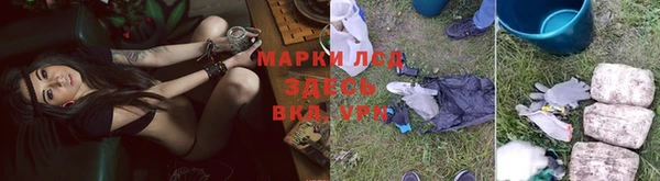 ГАЛЛЮЦИНОГЕННЫЕ ГРИБЫ Алексин