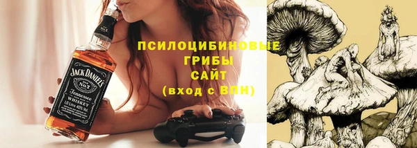 ГАЛЛЮЦИНОГЕННЫЕ ГРИБЫ Алексин